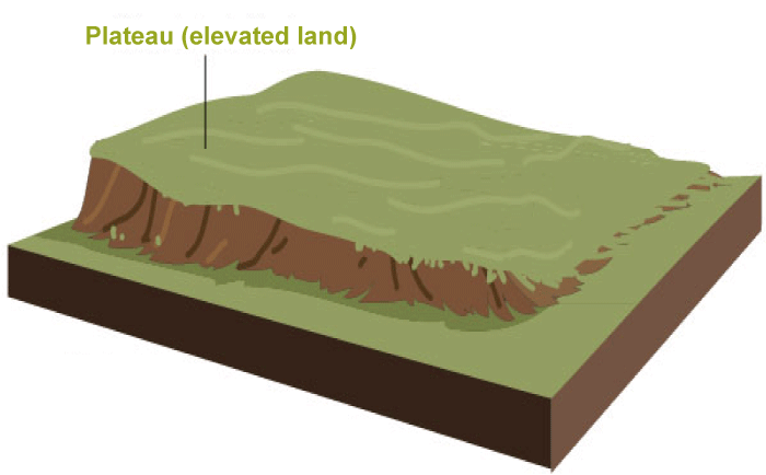 पठार (Plateaus)